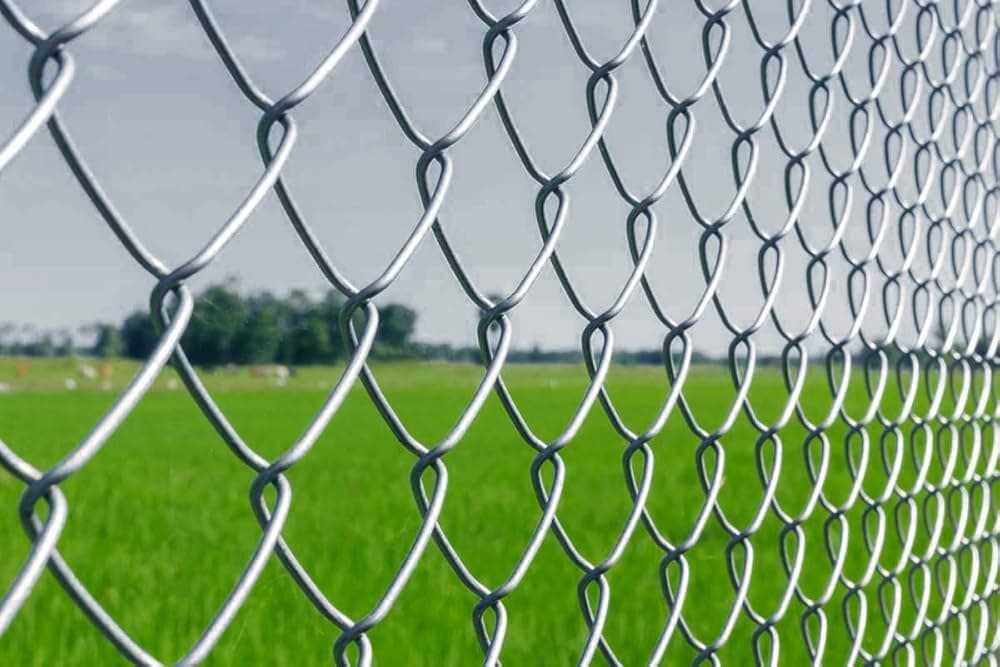 Chain Link
