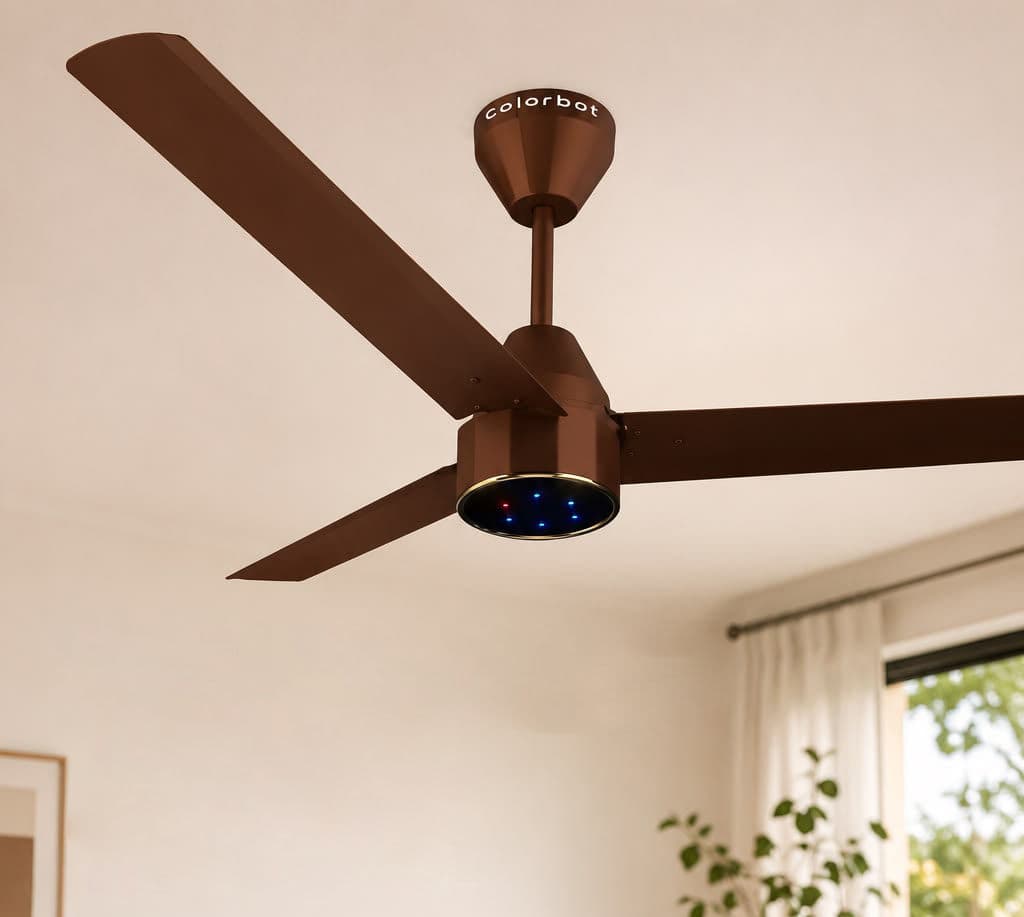 Fan